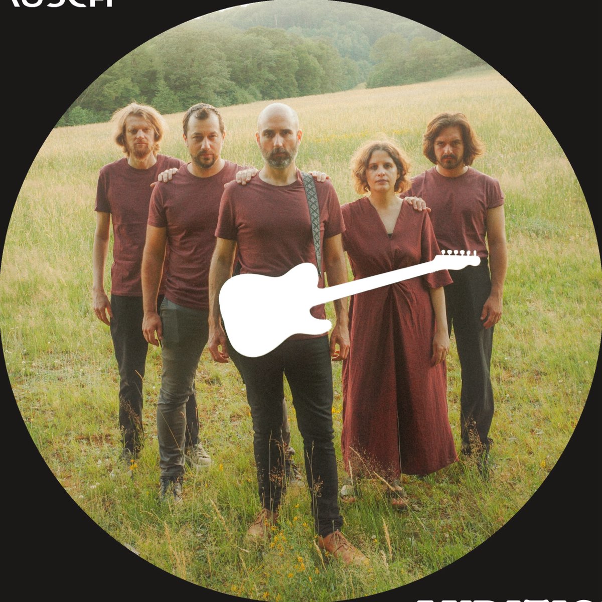The band, five of them in dark red, on a summer meadow, with a white guitar silhouette in front